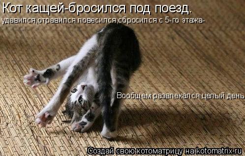 Котоматрица: Кот кащей-бросился под поезд. удавился,отравился.повесился,сбросился с 5-го этажа- Вообщем развлекался целый день