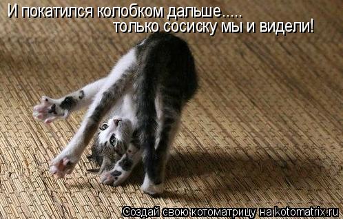 Котоматрица: И покатился колобком дальше.....  только сосиску мы и видели!