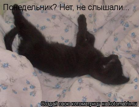 Котоматрица: Понедельник? Нет, не слышали...