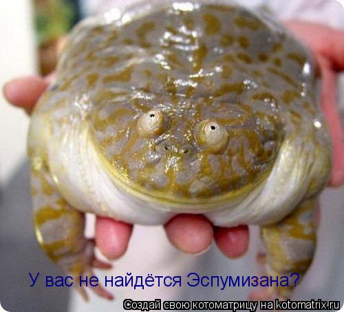 Котоматрица: У вас не найдётся Эспумизана?