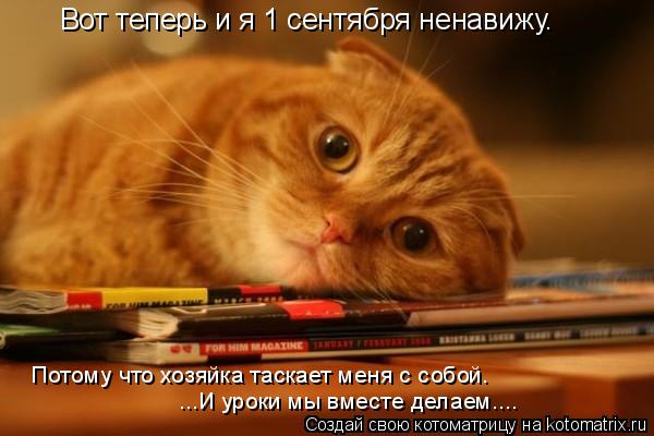 Котоматрица: Вот теперь и я 1 сентября ненавижу. Потому что хозяйка таскает меня с собой. ...И уроки мы вместе делаем....