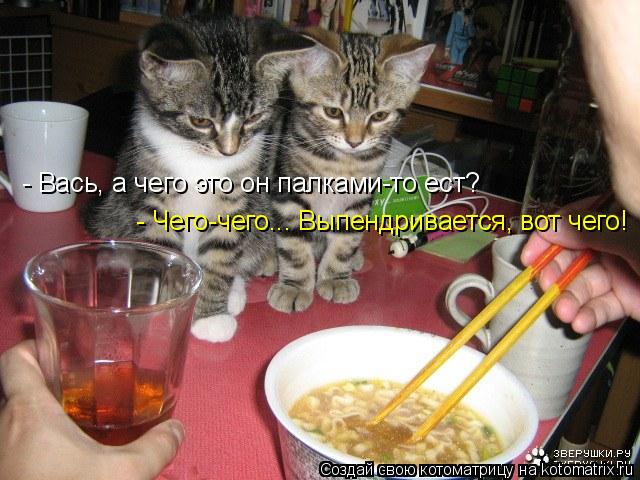 - Вась, а чего это он палками-то ест? - Чего-чего... Выпендривается, вот чего!... Котоматрица: - Вась, а чего это он палками-то ест? - Чего-чего... Выпендривается, вот чего!