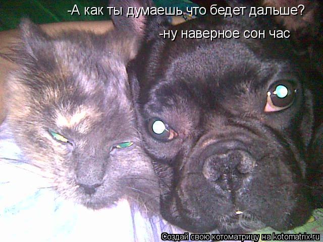 -А как ты думаешь что бедет дальше? -ну наверное сон час... Котоматрица: -А как ты думаешь что бедет дальше? -ну наверное сон час