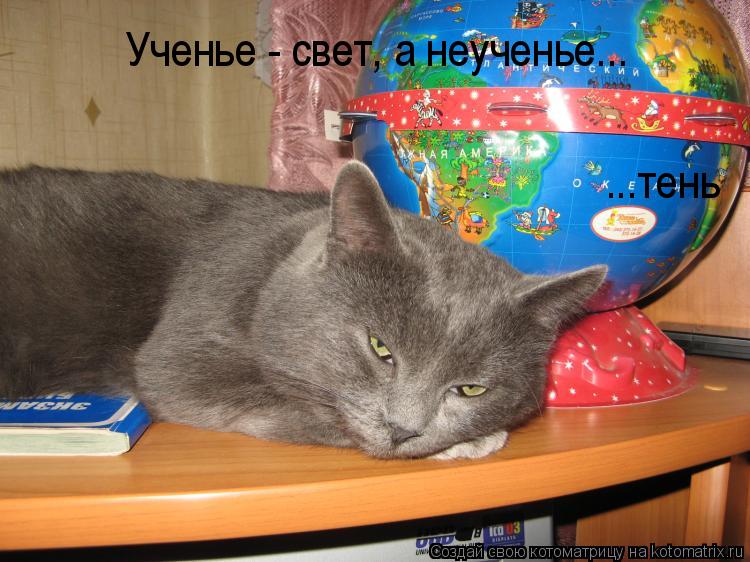 Ученье - свет, а неученье... ...тень... Котоматрица: Ученье - свет, а неученье... ...тень