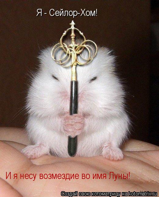 Котоматрица: Я - Сейлор-Хом! И я несу возмездие во имя Луны!