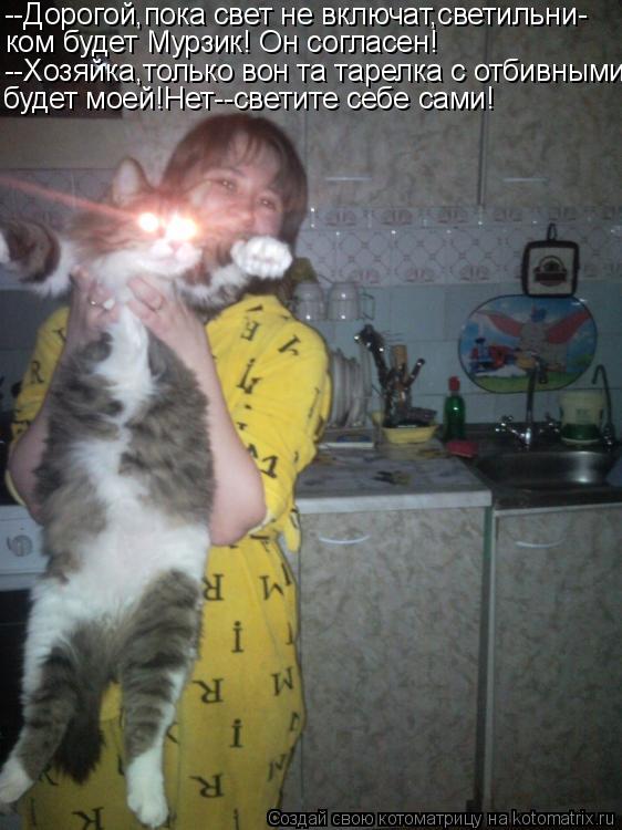 Котоматрица: --Дорогой,пока свет не включат,светильни- ком будет Мурзик! Он согласен! --Хозяйка,только вон та тарелка с отбивными будет моей!Нет--светите с