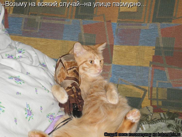 --Возьму на всякий случай--на улице пасмурно...... Котоматрица: --Возьму на всякий случай--на улице пасмурно...
