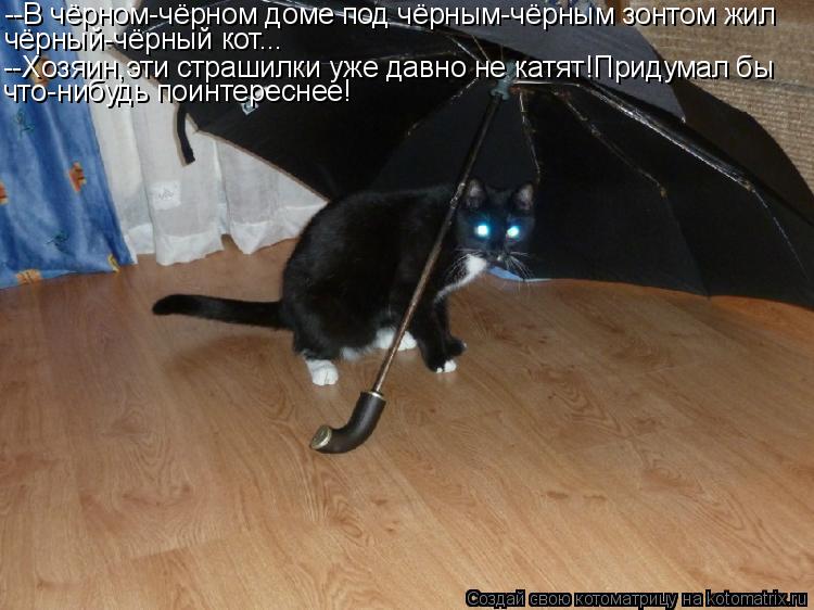 --В чёрном-чёрном доме под чёрным-чёрным зонтом жил чёрный-чёрный кот... --Хозяин,эти страшилки уже д... Котоматрица: --В чёрном-чёрном доме под чёрным-чёрным зонтом жил чёрный-чёрный кот... --Хозяин,эти страшилки уже давно не катят!Придумал бы что-нибудь поин