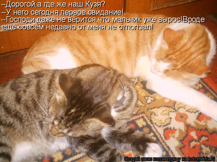 --Дорогой,а где же наш Кузя? --У него сегодня первое свидание! --Господи,даже не верится,что мальчик ... Котоматрица: --Дорогой,а где же наш Кузя? --У него сегодня первое свидание! --Господи,даже не верится,что мальчик уже вырос!Вроде ещё совсем недавно от меня