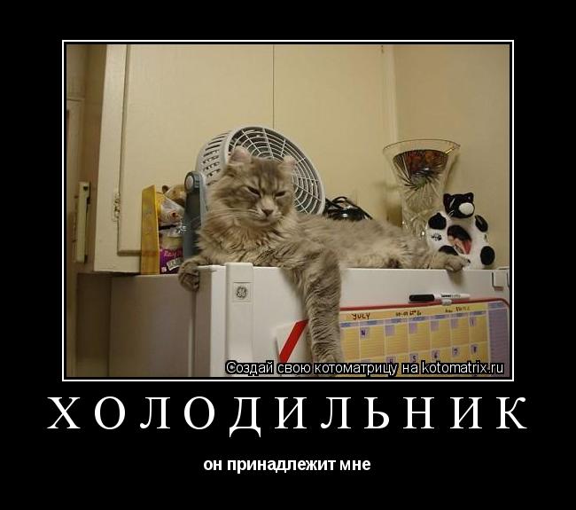 ХОЛОДИЛЬНИК он принадлежит мне... Котоматрица: ХОЛОДИЛЬНИК он принадлежит мне