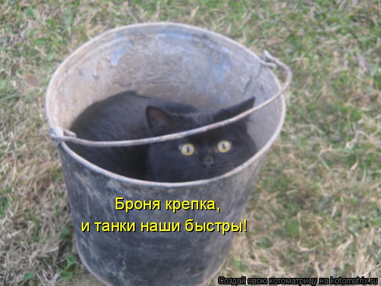 Броня крепка, и танки наши быстры!... Котоматрица: Броня крепка, и танки наши быстры!
