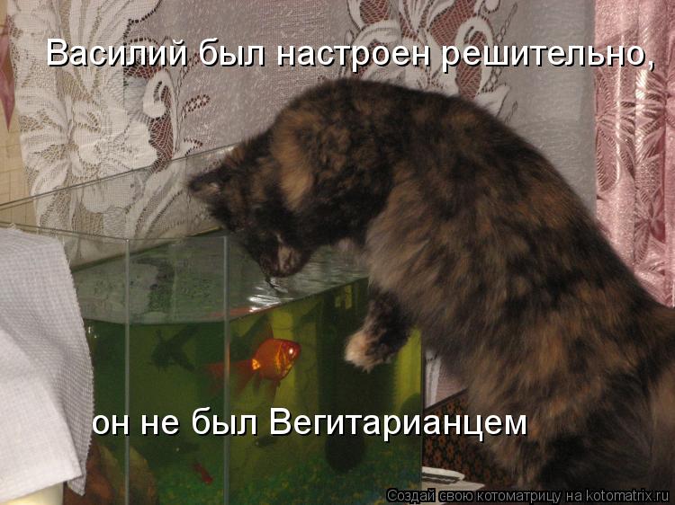 Котоматрица: Василий был настроен решительно, он не был Вегитарианцем