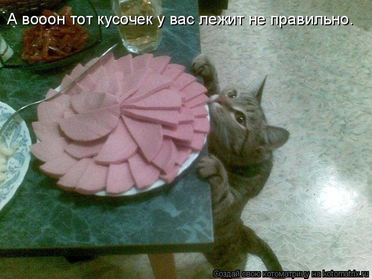 А вооон тот кусочек у вас лежит не правильно.... Котоматрица: А вооон тот кусочек у вас лежит не правильно.
