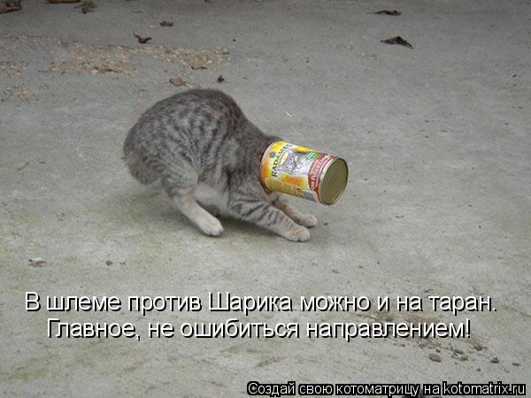 В шлеме против Шарика можно и на таран. Главное, не ошибиться направлением!... Котоматрица: В шлеме против Шарика можно и на таран. Главное, не ошибиться направлением!