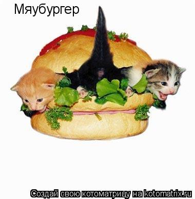 Мяубургер... Котоматрица: Мяубургер
