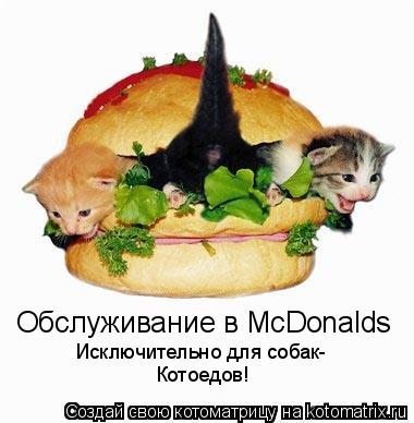 Обслуживание в McDonalds Исключительно для собак- Котоедов!... Котоматрица: Обслуживание в McDonalds Исключительно для собак- Котоедов!