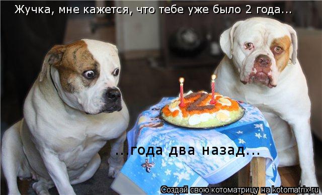 Жучка, мне кажется, что тебе уже было 2 года... ...года два назад...... Котоматрица: Жучка, мне кажется, что тебе уже было 2 года... ...года два назад...
