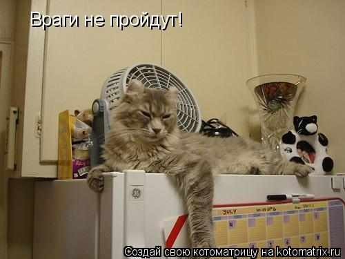 Враги не пройдут!... Котоматрица: Враги не пройдут!