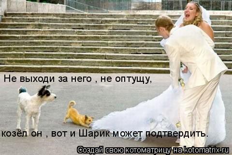 Не выходи за него , не оптущу, козёл он , вот и Шарик может подтвердить.... Котоматрица: Не выходи за него , не оптущу, козёл он , вот и Шарик может подтвердить.