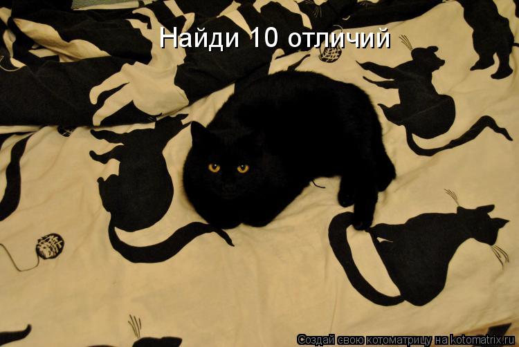 Найди 10 отличий... Котоматрица: Найди 10 отличий