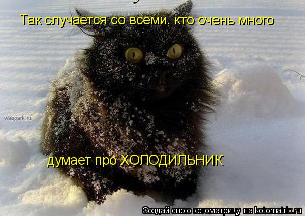 Так случается со всеми, кто очень много думает про ХОЛОДИЛЬНИК... Котоматрица: Так случается со всеми, кто очень много думает про ХОЛОДИЛЬНИК