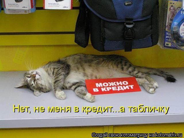 Нет, не меня в кредит...а табличку... Котоматрица: Нет, не меня в кредит...а табличку