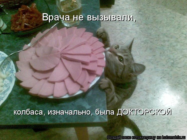 Врача не вызывали, колбаса, изначально, была ДОКТОРСКОЙ... Котоматрица: Врача не вызывали, колбаса, изначально, была ДОКТОРСКОЙ