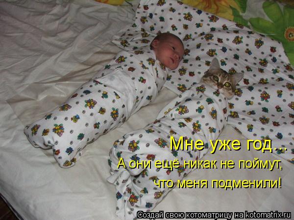 Мне уже год... А они ещё никак не поймут, что меня подменили!... Котоматрица: Мне уже год... А они ещё никак не поймут, что меня подменили!