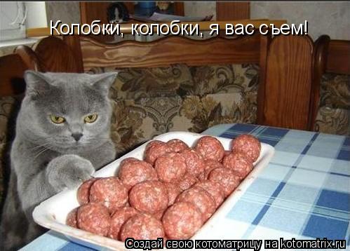 Колобки, колобки, я вас съем!... Котоматрица: Колобки, колобки, я вас съем!