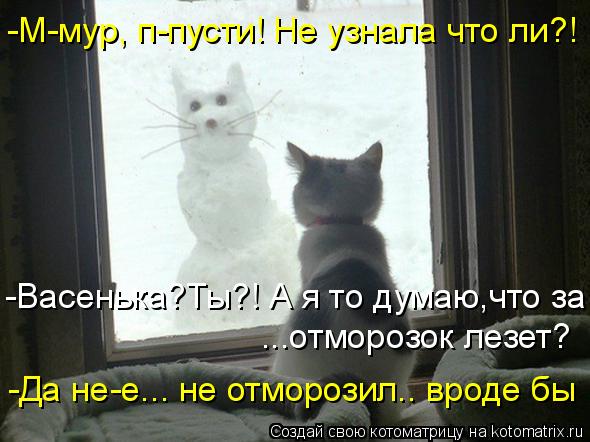 -М-мур, п-пусти! Не узнала что ли?! -Васенька?Ты?! А я то думаю,что за ...отморозок лезет? -Да не-е..... Котоматрица: -М-мур, п-пусти! Не узнала что ли?! -Васенька?Ты?! А я то думаю,что за ...отморозок лезет? -Да не-е... не отморозил.. вроде бы