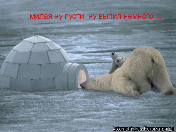 милая ну пусти, ну выпил немного....... Котоматрица: милая ну пусти, ну выпил немного....