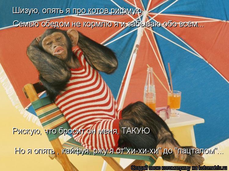 Шизую, опять я про котов рифмую Семью обедом не кормлю я и забываю обо всём... Рискую, что бросит он ... Котоматрица: Шизую, опять я про котов рифмую Семью обедом не кормлю я и забываю обо всём... Рискую, что бросит он меня, ТАКУЮ Но я опять , кайфуя, ржу я от"хи-
