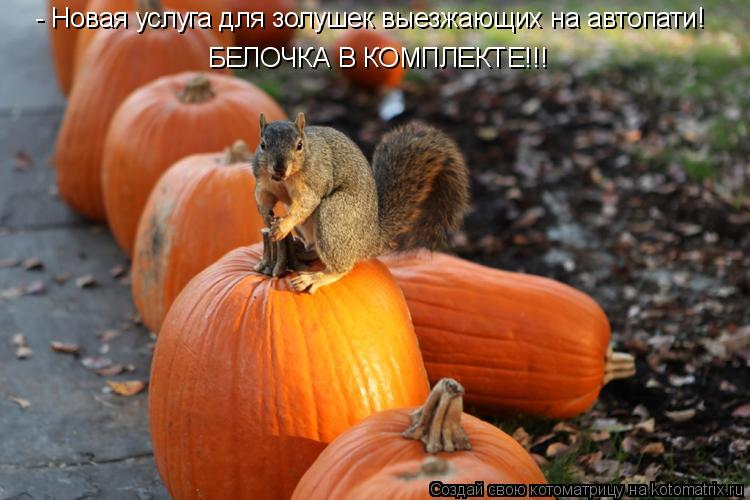 - Новая услуга для золушек выезжающих на автопати! БЕЛОЧКА В КОМПЛЕКТЕ!!!... Котоматрица: - Новая услуга для золушек выезжающих на автопати! БЕЛОЧКА В КОМПЛЕКТЕ!!!