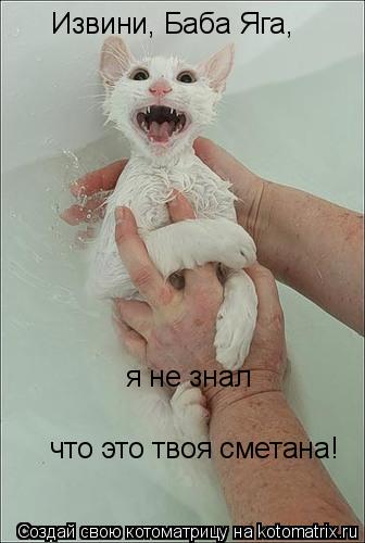 Извини, Баба Яга, я не знал что это твоя сметана!... Котоматрица: Извини, Баба Яга, я не знал что это твоя сметана!