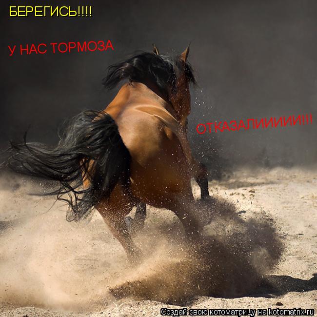 БЕРЕГИСЬ!!!! У НАС ТОРМОЗА ОТКАЗАЛИИИИИ!!!... Котоматрица: БЕРЕГИСЬ!!!! У НАС ТОРМОЗА ОТКАЗАЛИИИИИ!!!