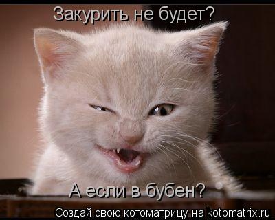 Закурить не будет? А если в бубен?... Котоматрица: Закурить не будет? А если в бубен?