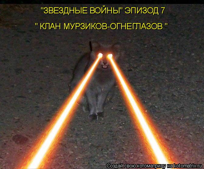 Котоматрица: "ЗВЕЗДНЫЕ ВОЙНЫ" ЭПИЗОД 7 " КЛАН МУРЗИКОВ-ОГНЕГЛАЗОВ "