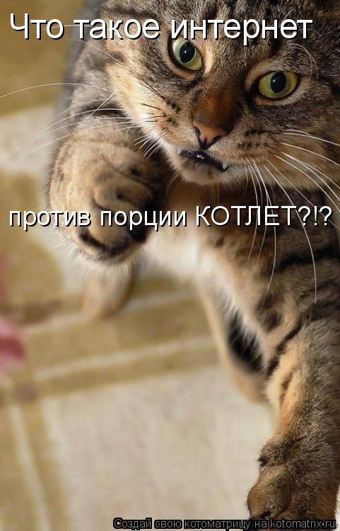 Котоматрица: Что такое интернет против порции КОТЛЕТ?!?