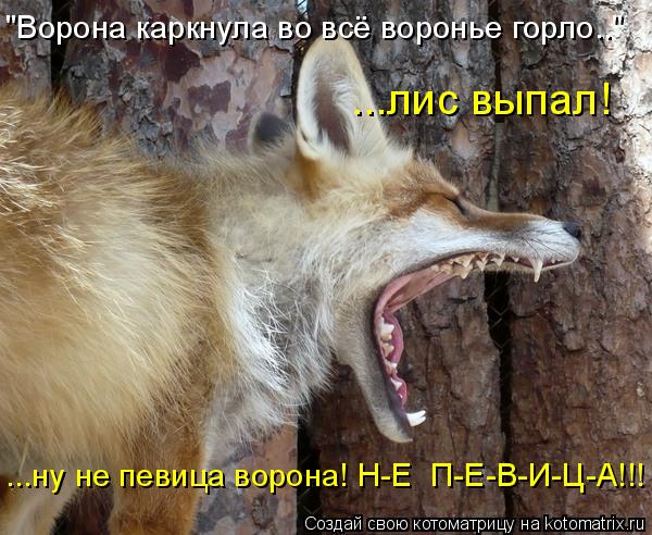 "Ворона каркнула во всё воронье горло.." ...лис выпал! ...ну не певица ворона! Н-Е П-Е-В-И-Ц-А!!!... Котоматрица: "Ворона каркнула во всё воронье горло.." ...лис выпал! ...ну не певица ворона! Н-Е П-Е-В-И-Ц-А!!!