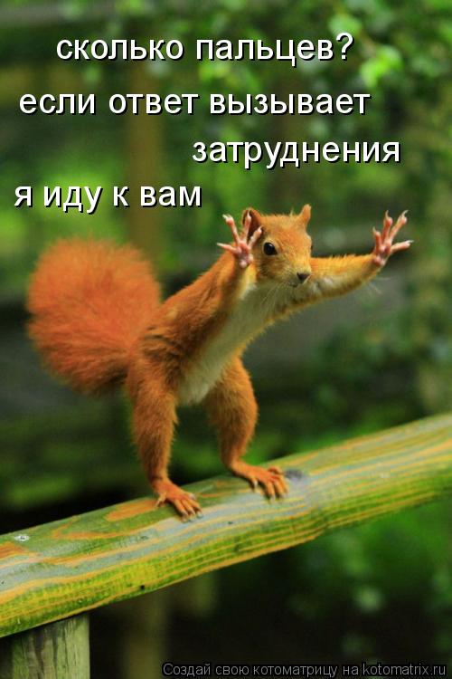 сколько пальцев? если ответ вызывает затруднения я иду к вам... Котоматрица: сколько пальцев? если ответ вызывает затруднения я иду к вам