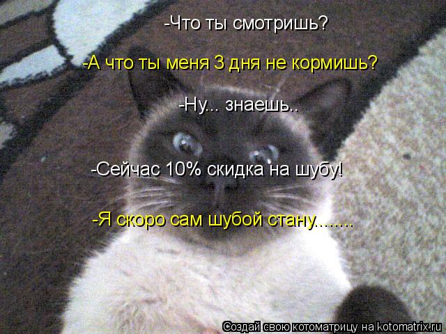 -Что ты смотришь? -А что ты меня 3 дня не кормишь? -Ну... знаешь.. -Сейчас 10% скидка на шубу! -Я ско... Котоматрица: -Что ты смотришь? -А что ты меня 3 дня не кормишь? -Ну... знаешь.. -Сейчас 10% скидка на шубу! -Я скоро сам шубой стану........