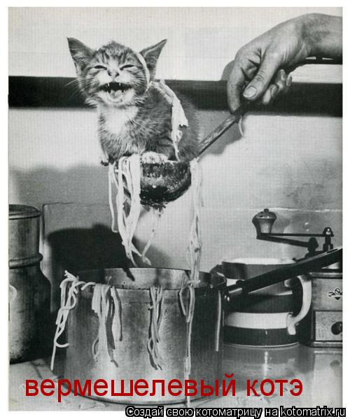 вермешелевый котэ... Котоматрица: вермешелевый котэ