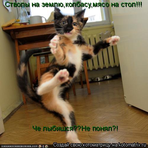 Стволы на землю,колбасу,мясо на стол!!! Че лыбишся??Не понял?!... Котоматрица: Стволы на землю,колбасу,мясо на стол!!! Че лыбишся??Не понял?!