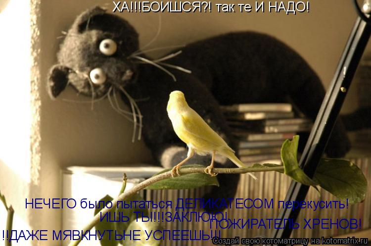 ХА!!!БОИШСЯ?! так те И НАДО! НЕЧЕГО было пытаться ДЕЛИКАТЕСОМ перекусить! !!ДАЖЕ МЯВКНУТЬНЕ УСПЕЕШЬ!!... Котоматрица: ХА!!!БОИШСЯ?! так те И НАДО! НЕЧЕГО было пытаться ДЕЛИКАТЕСОМ перекусить! !!ДАЖЕ МЯВКНУТЬНЕ УСПЕЕШЬ!!! ИШЬ ТЫ!!!ЗАКЛЮЮ! ПОЖИРАТЕЛЬ ХРЕНОВ!