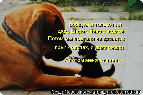 Вобщем я только пил Потом мы прыгали на кроватях А потом меня тошнило дядь Шарик, пиво с водкой прыг ... Котоматрица: Вобщем я только пил Потом мы прыгали на кроватях А потом меня тошнило дядь Шарик, пиво с водкой прыг - распах, и дико ржали