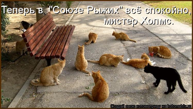 Теперь в "Союзе Рыжих" всё спокойно, мистер Холмс.... Котоматрица: Теперь в "Союзе Рыжих" всё спокойно, мистер Холмс.