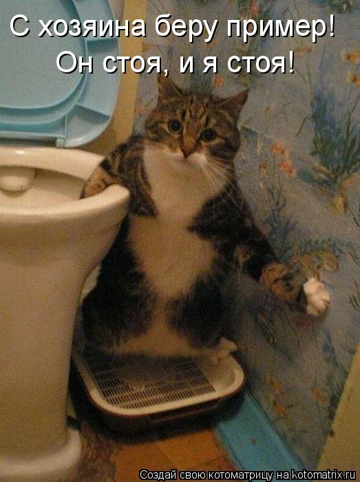 С хозяина беру пример! Он стоя, и я стоя!... Котоматрица: С хозяина беру пример! Он стоя, и я стоя!