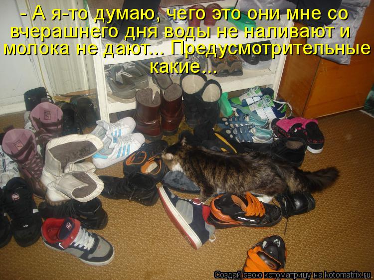 - А я-то думаю, чего это они мне со вчерашнего дня воды не наливают и молока не дают... Предусмотрит... Котоматрица: - А я-то думаю, чего это они мне со вчерашнего дня воды не наливают и молока не дают... Предусмотрительные какие...