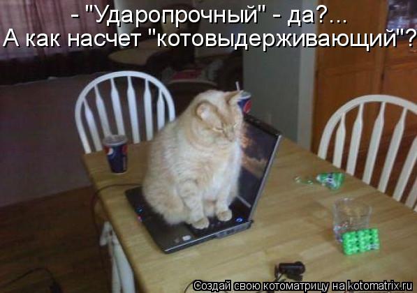 - "Ударопрочный" - да?... А как насчет "котовыдерживающий"?... Котоматрица: - "Ударопрочный" - да?... А как насчет "котовыдерживающий"?