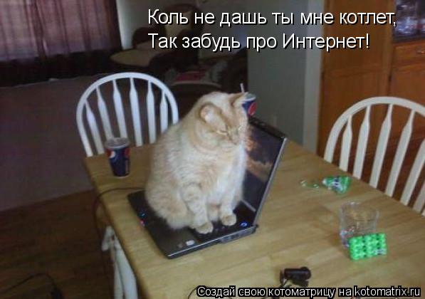 Коль не дашь ты мне котлет, Так забудь про Интернет!... Котоматрица: Коль не дашь ты мне котлет, Так забудь про Интернет!